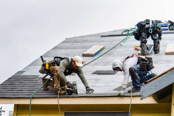 Professional Storm Damage Roof Repair technician working in Hitchins, KY